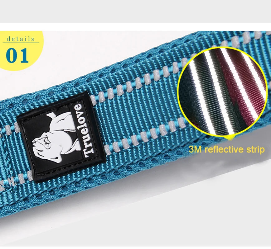 TRUELOVECN Truelove Reflective Nylon Dog Leash Padded Handle