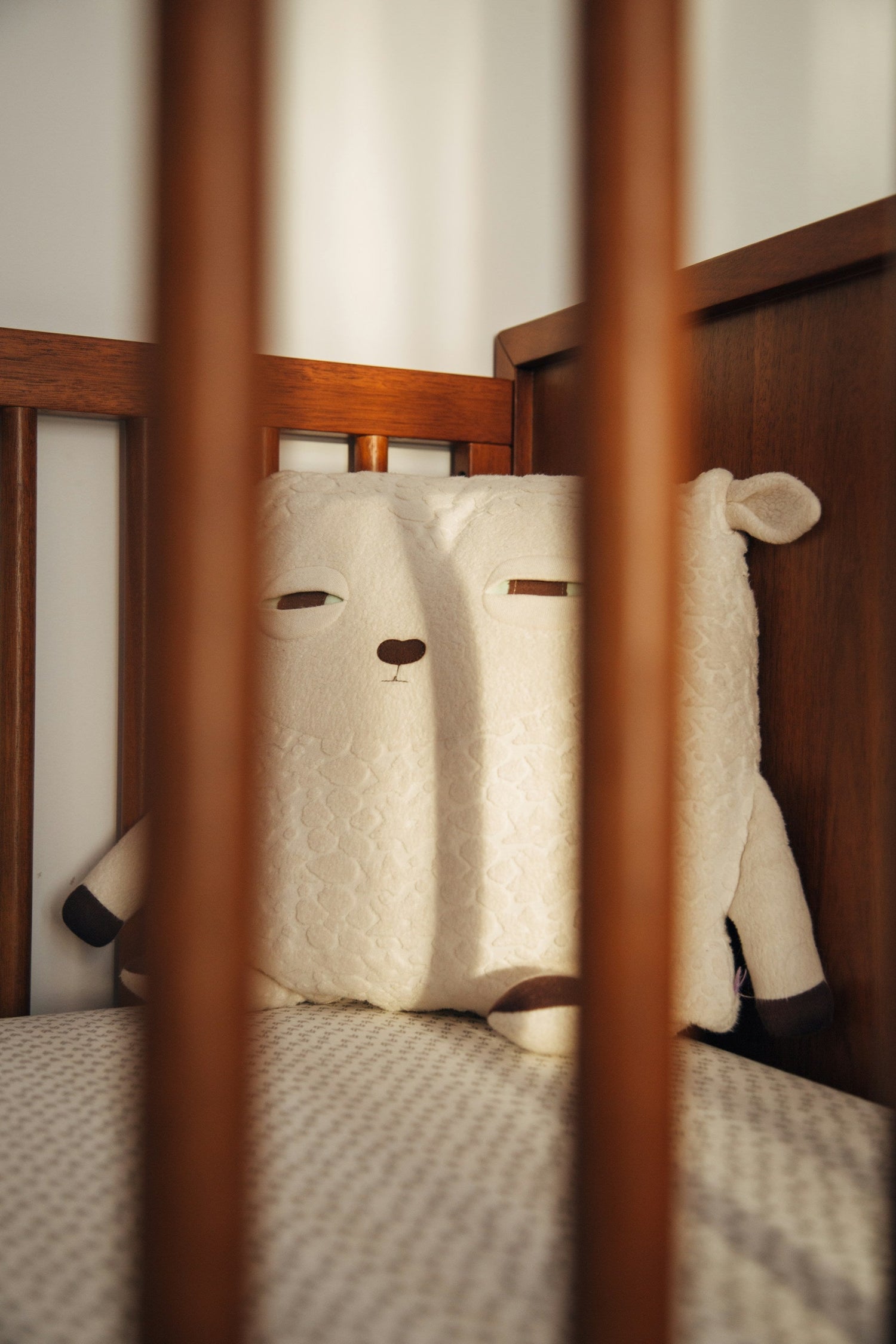 Baby Monitors & Child Safety
