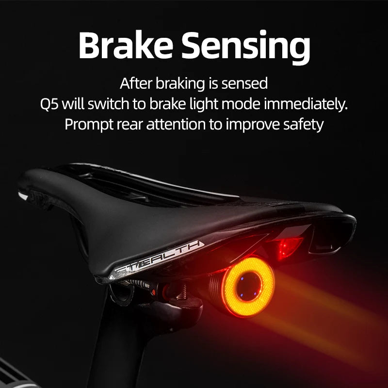 RockBros Bicycle Smart Auto Brake Sensing Taillight IPx6 Waterproof LED