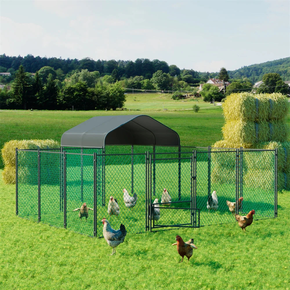 BORWART Heavy Duty Walk In Chicken Coop With UV Cover