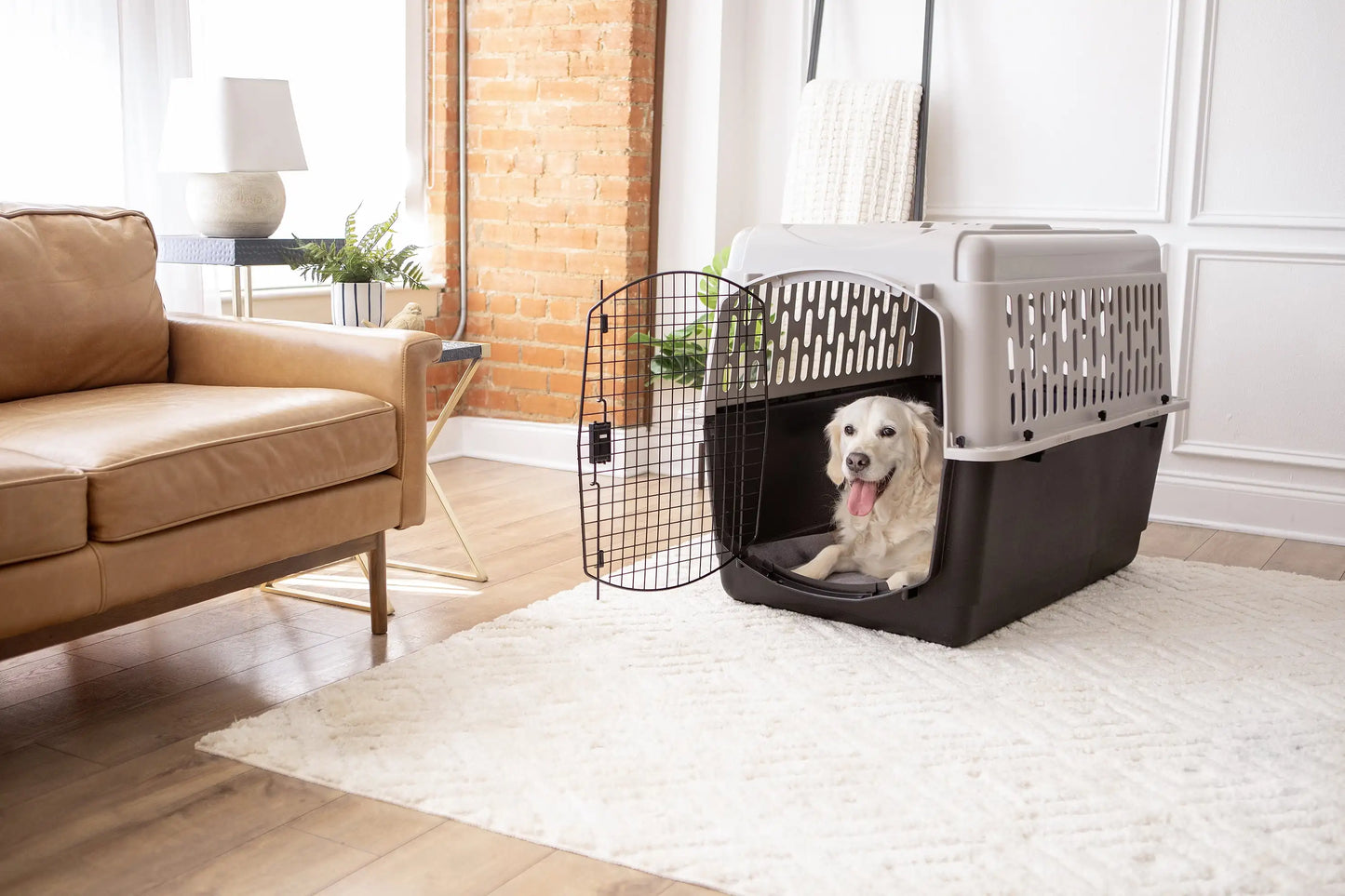 Vibrant Life Large Plastic Pet Kennel for Travel and Safety - Safety First Gear 25