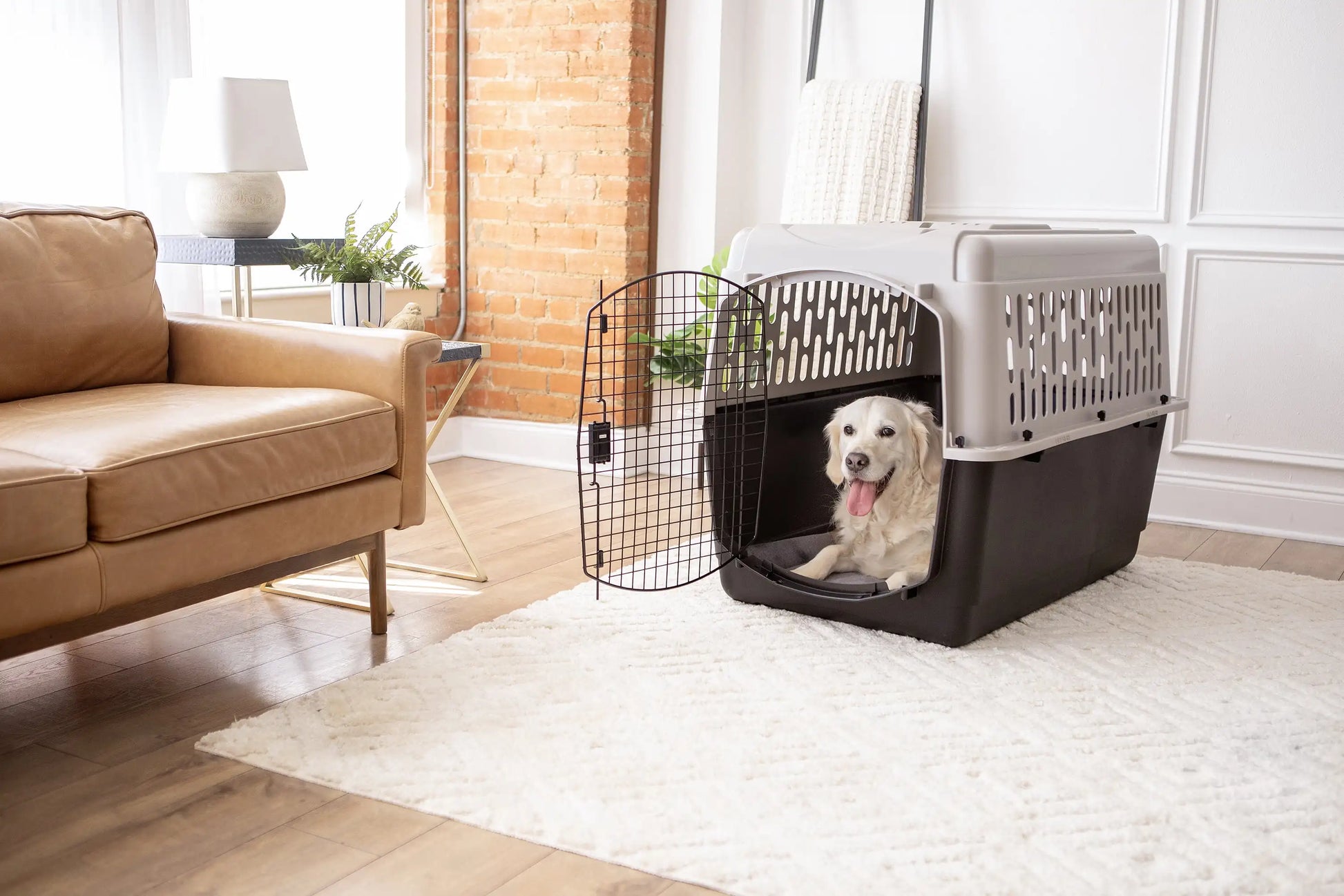 Vibrant Life Large Plastic Pet Kennel for Travel and Safety - Safety First Gear 25