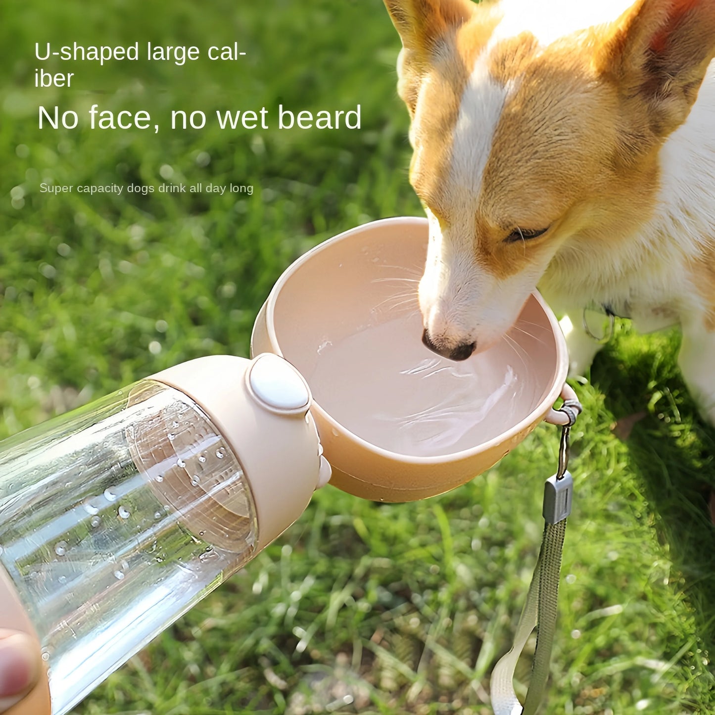 Portable Dog and Cat Travel Water Bowl with Food Dispenser