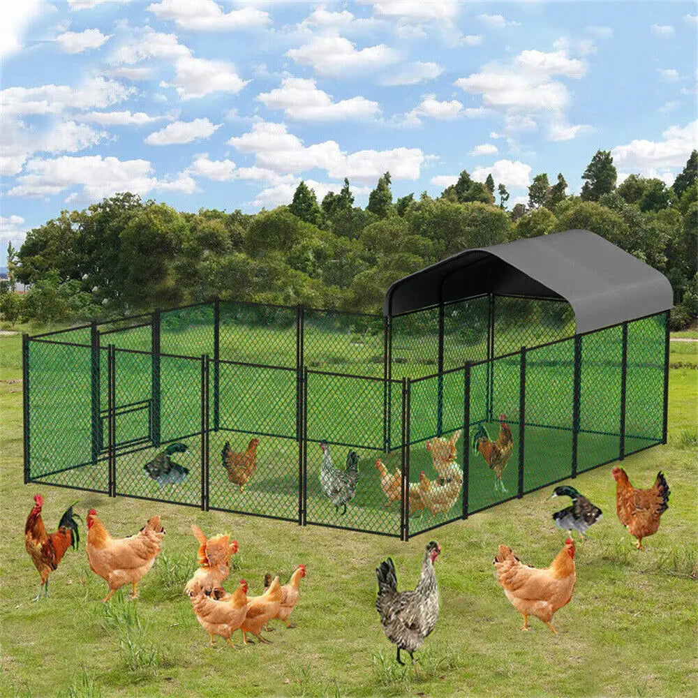 BORWART Heavy Duty Walk In Chicken Coop With UV Cover